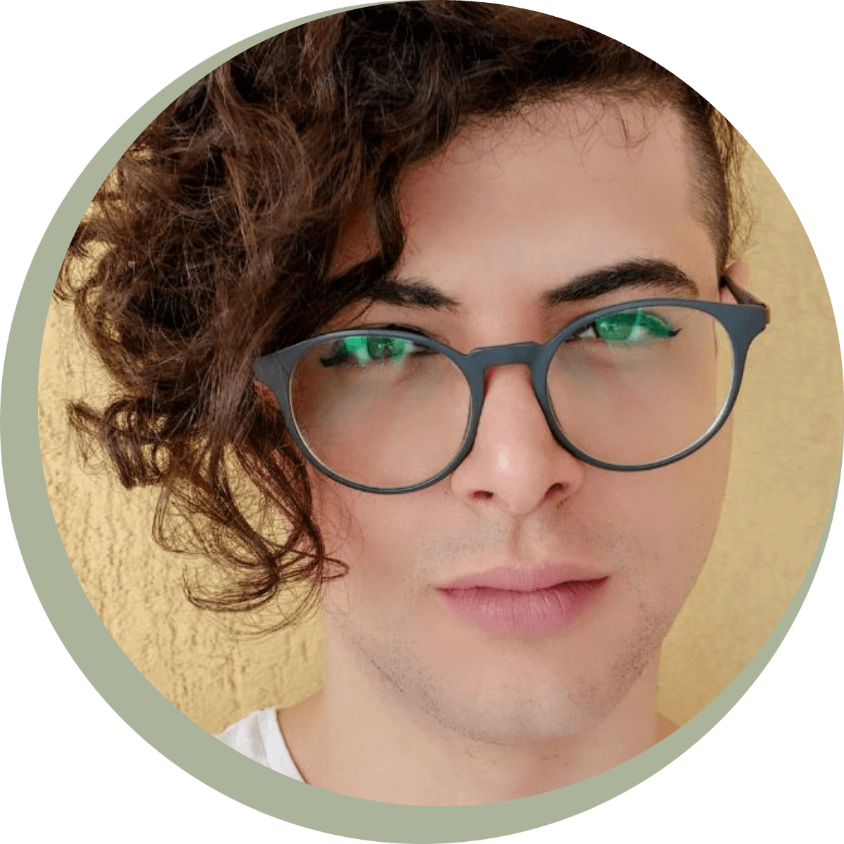 Vinicius Canarim, Pré-Diagnóstico de E-commerce